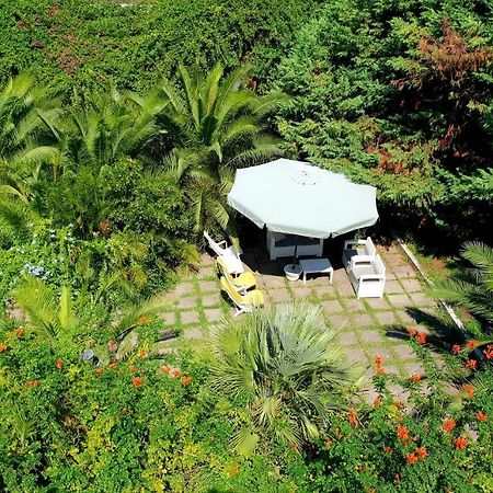 B&B Il Giardino Di Villa Anna Trecase ภายนอก รูปภาพ