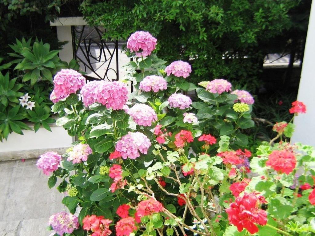 B&B Il Giardino Di Villa Anna Trecase ภายนอก รูปภาพ