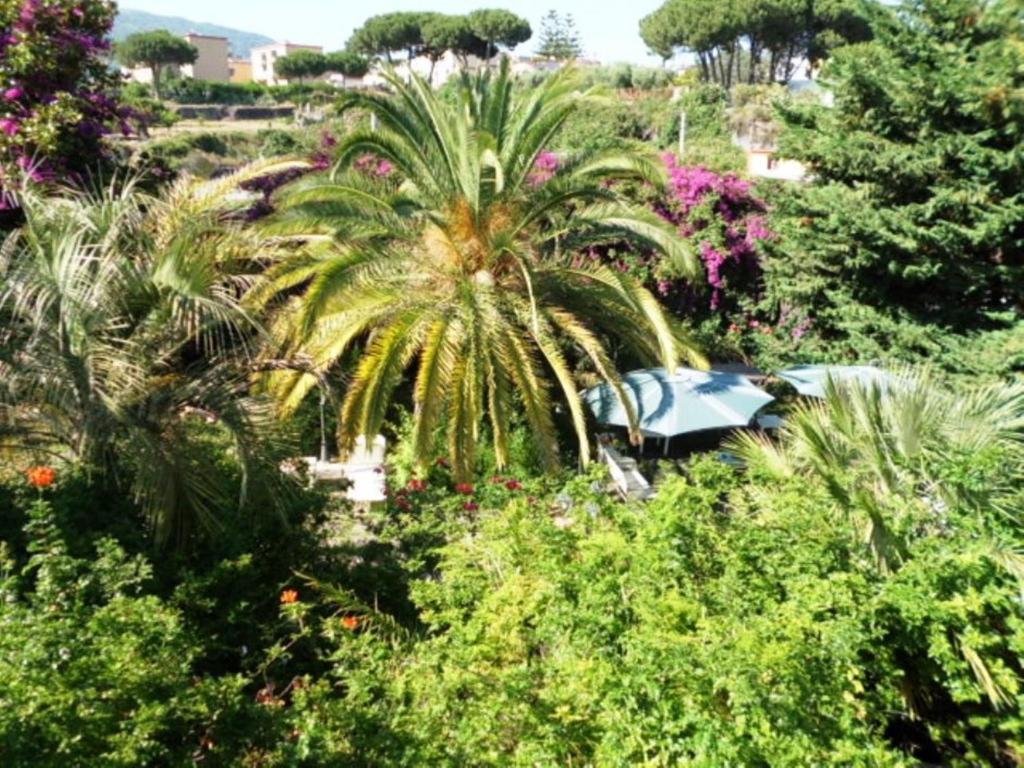 B&B Il Giardino Di Villa Anna Trecase ภายนอก รูปภาพ