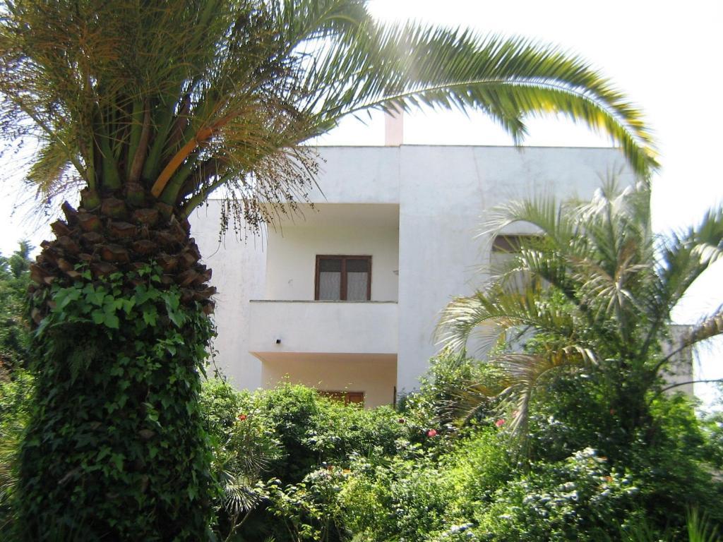 B&B Il Giardino Di Villa Anna Trecase ภายนอก รูปภาพ