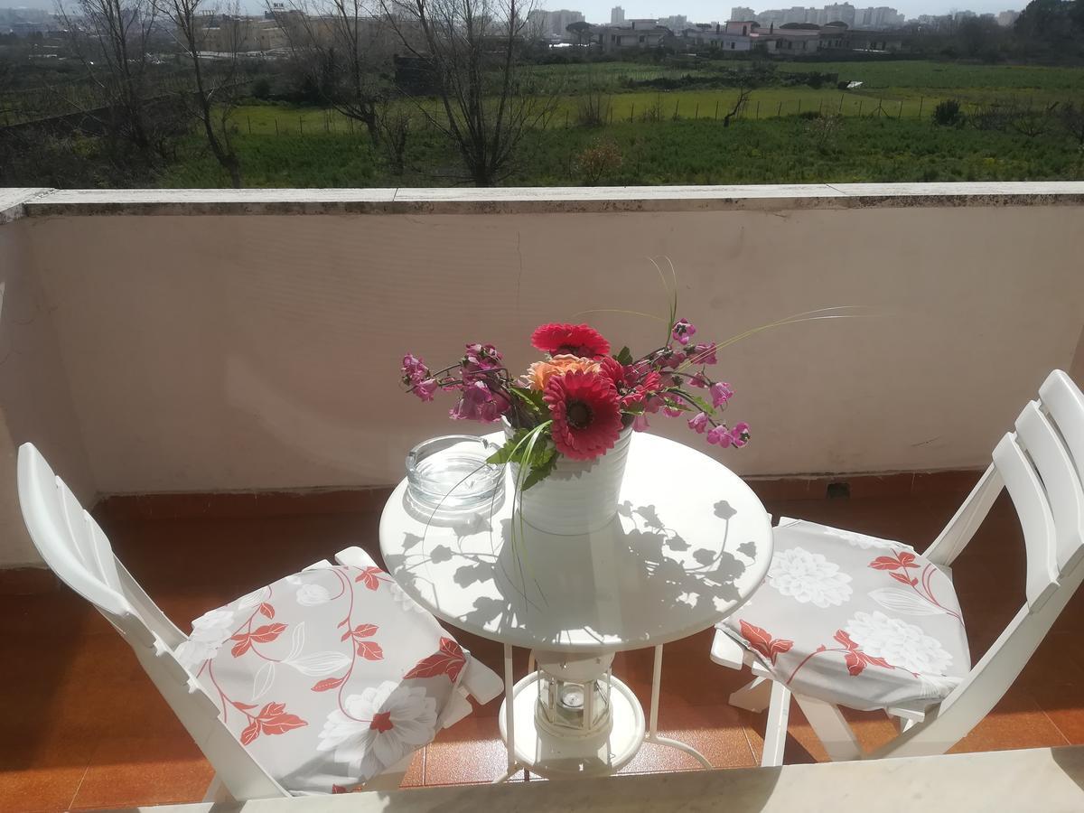 B&B Il Giardino Di Villa Anna Trecase ภายนอก รูปภาพ