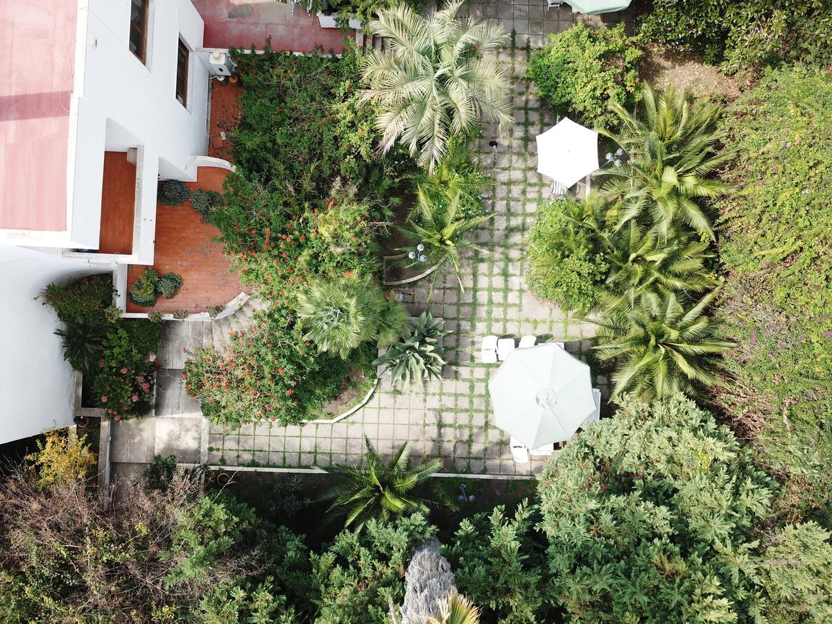 B&B Il Giardino Di Villa Anna Trecase ภายนอก รูปภาพ