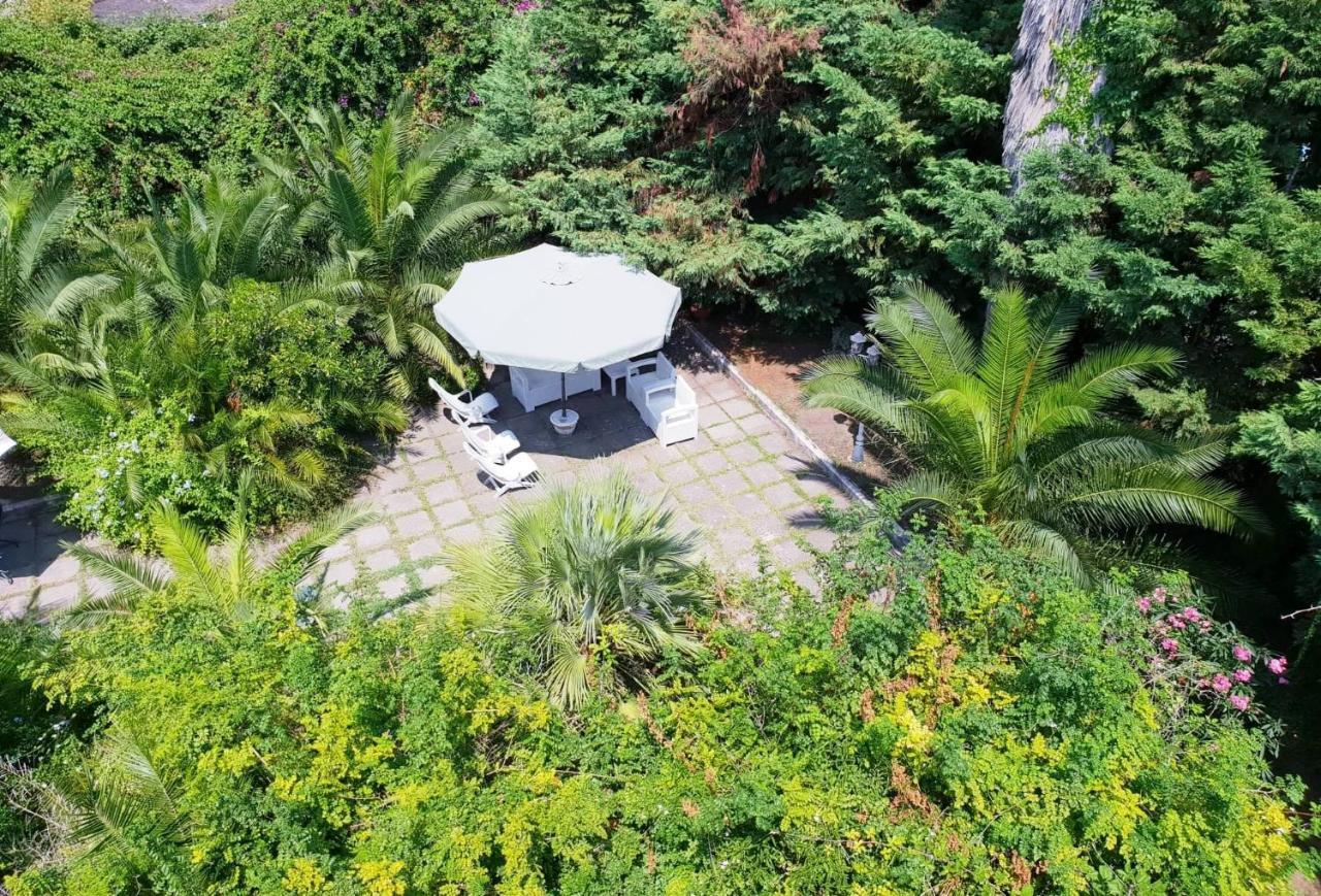 B&B Il Giardino Di Villa Anna Trecase ภายนอก รูปภาพ