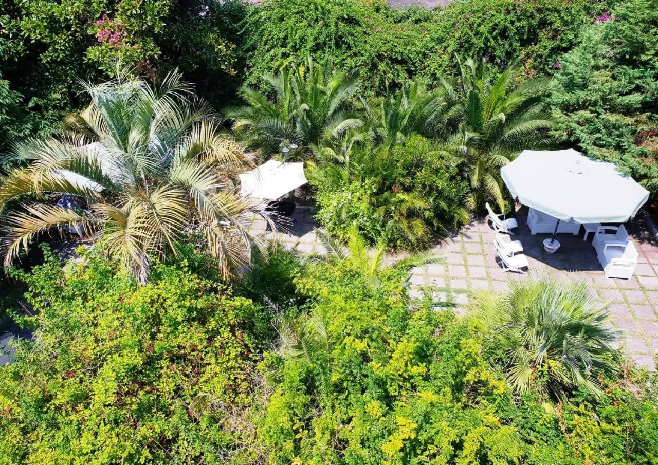 B&B Il Giardino Di Villa Anna Trecase ภายนอก รูปภาพ