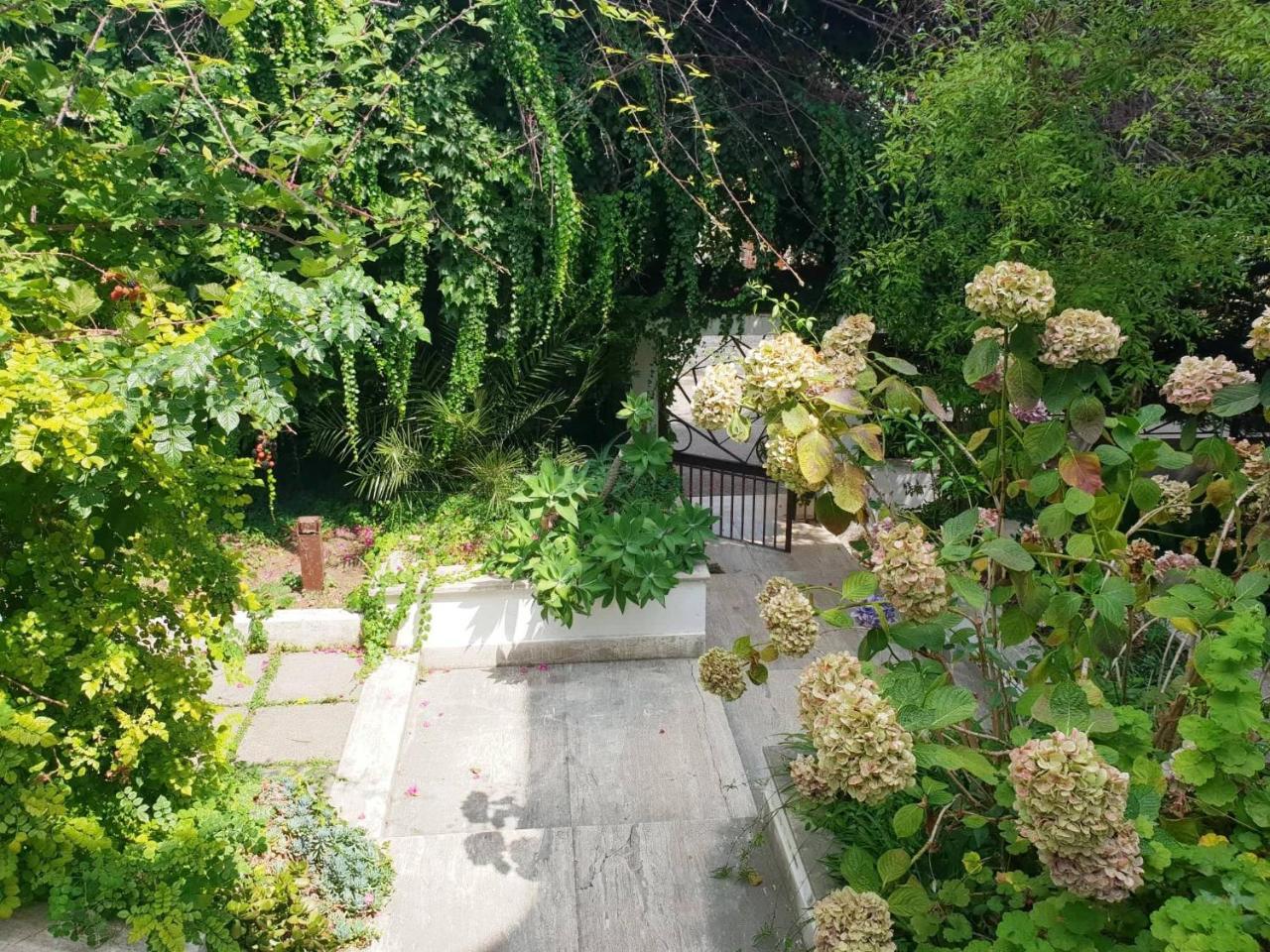 B&B Il Giardino Di Villa Anna Trecase ภายนอก รูปภาพ
