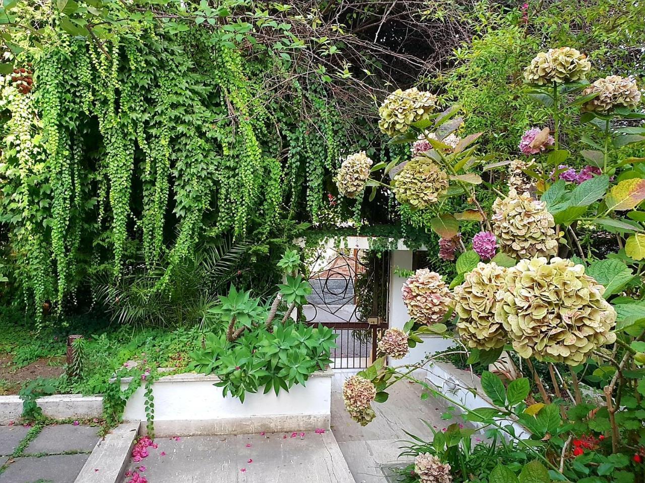 B&B Il Giardino Di Villa Anna Trecase ภายนอก รูปภาพ