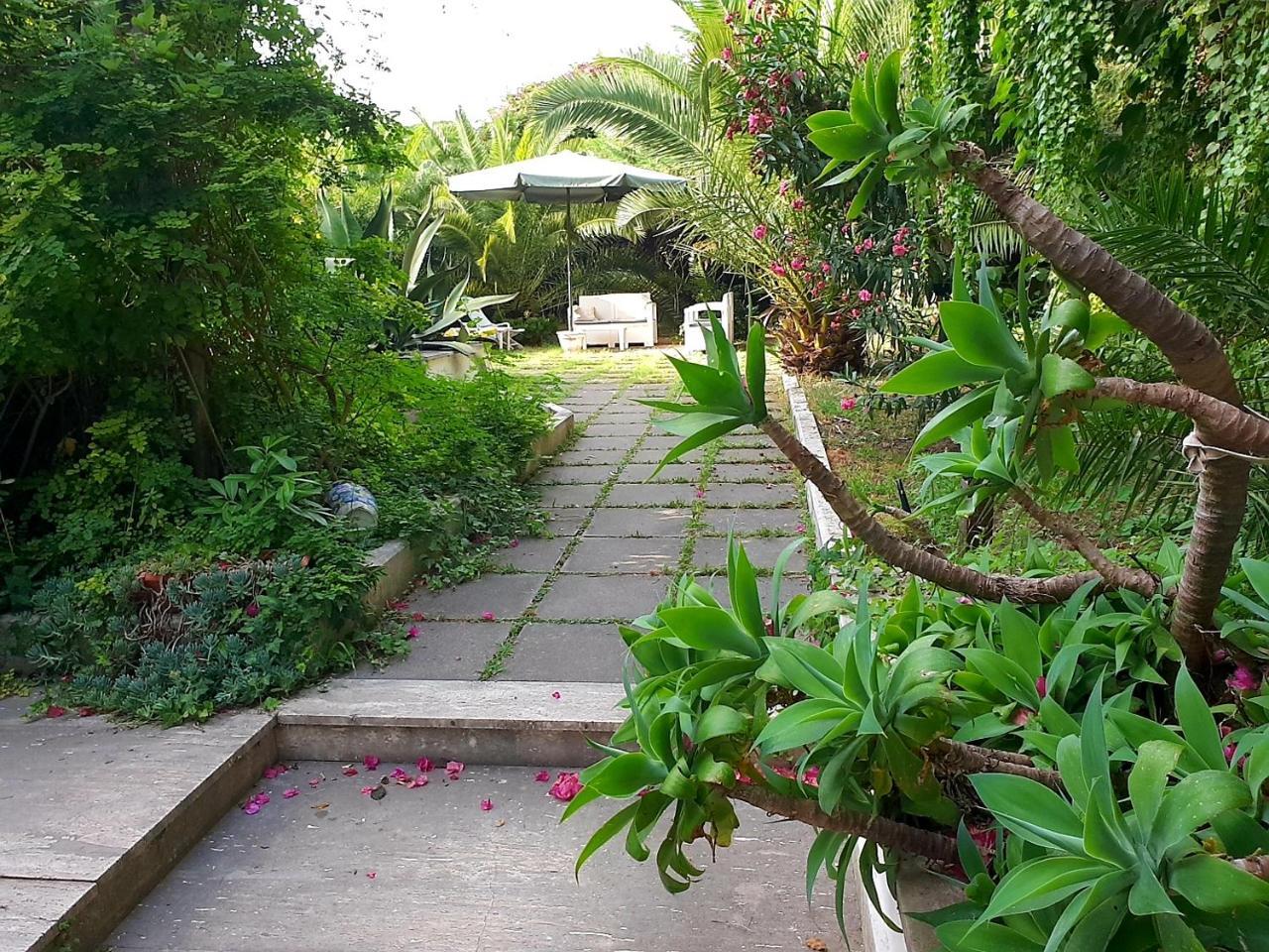 B&B Il Giardino Di Villa Anna Trecase ภายนอก รูปภาพ