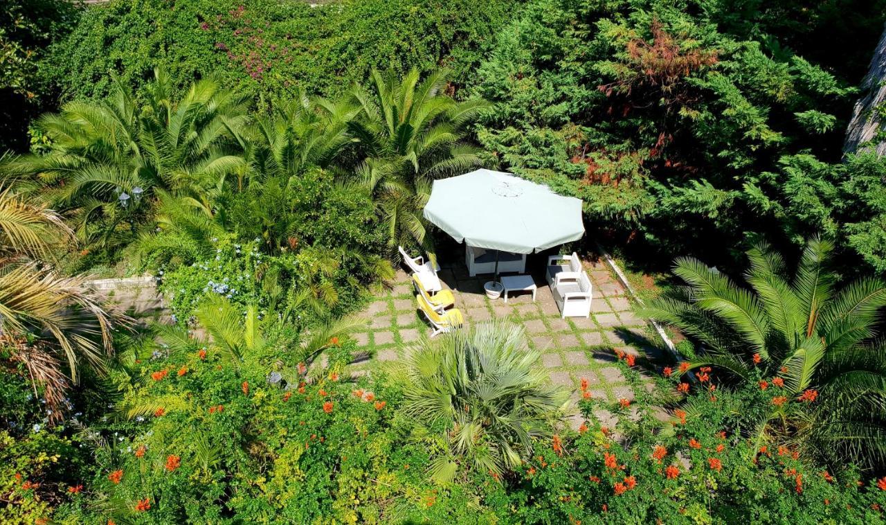 B&B Il Giardino Di Villa Anna Trecase ภายนอก รูปภาพ