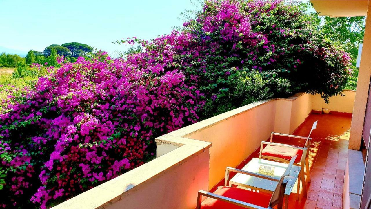 B&B Il Giardino Di Villa Anna Trecase ภายนอก รูปภาพ