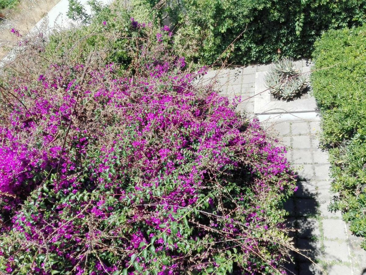 B&B Il Giardino Di Villa Anna Trecase ภายนอก รูปภาพ